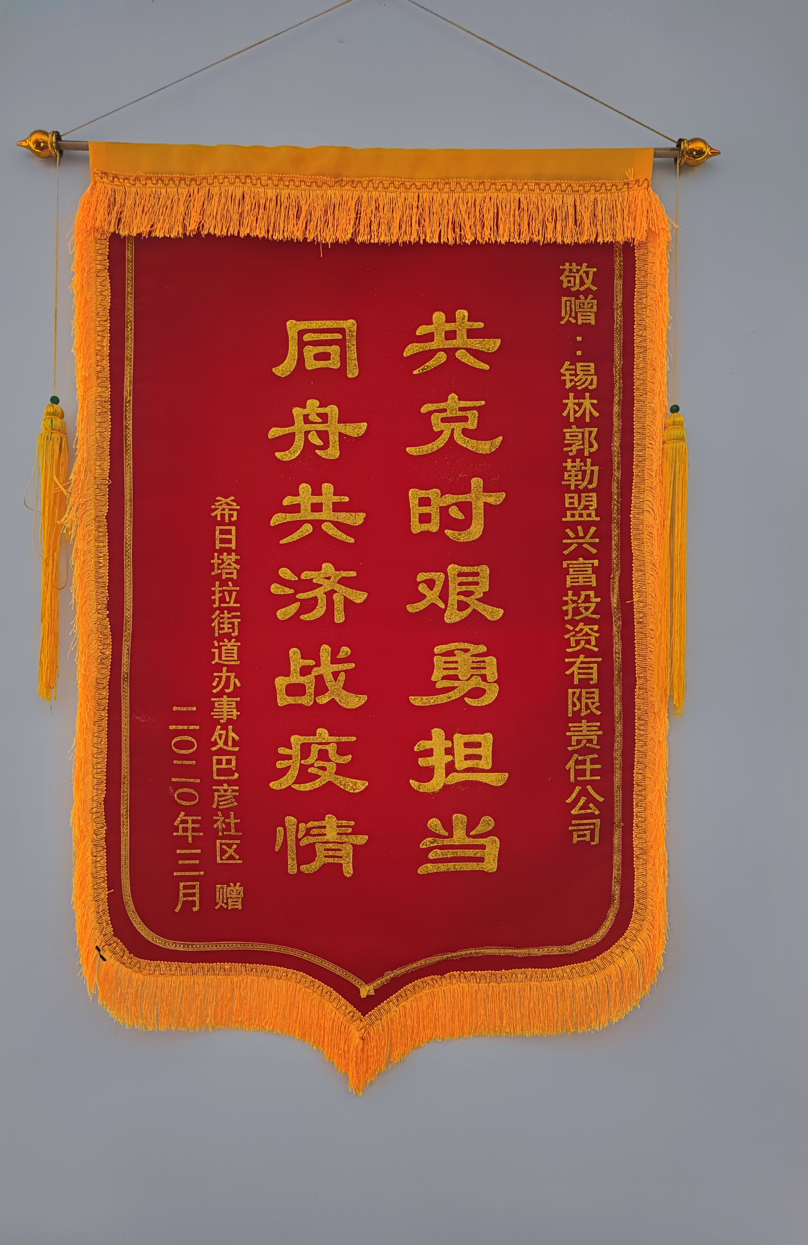 同舟共濟(jì)戰(zhàn)疫情錦旗